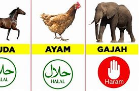 Main Slot Haram Atau Halal